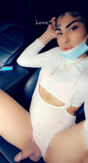 3109859984, transgender escort, Los Angeles